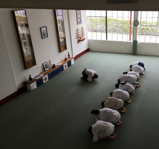 Aikido Institute