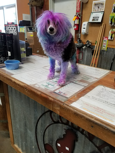 Pet Supply Store «Valley Springs Feed & Pet Supply», reviews and photos, 10 Main St, Valley Springs, CA 95252, USA