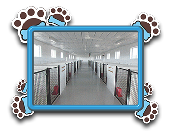 Pet Store «AA Ridgewood Kennels II», reviews and photos, 5401 Lincoln Hwy, Gap, PA 17527, USA