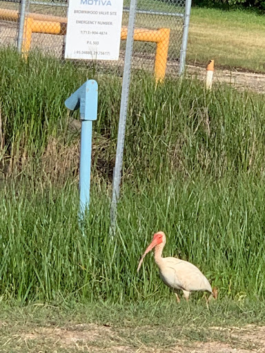 Nature Preserve «Baytown Nature Center», reviews and photos, 6213 Bayway Dr, Baytown, TX 77520, USA