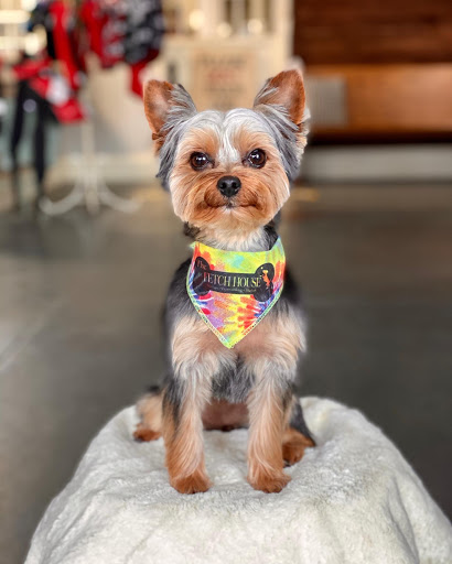 Pet Groomer «The Fetch House», reviews and photos, 130 W Washington St, Madison, GA 30650, USA