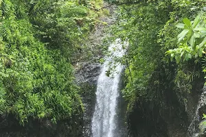 Wainibau Falls image