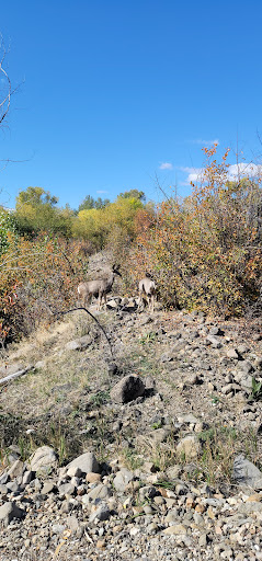 Park «Nature Park», reviews and photos, 2250 Gold Ave, Helena, MT 59601, USA