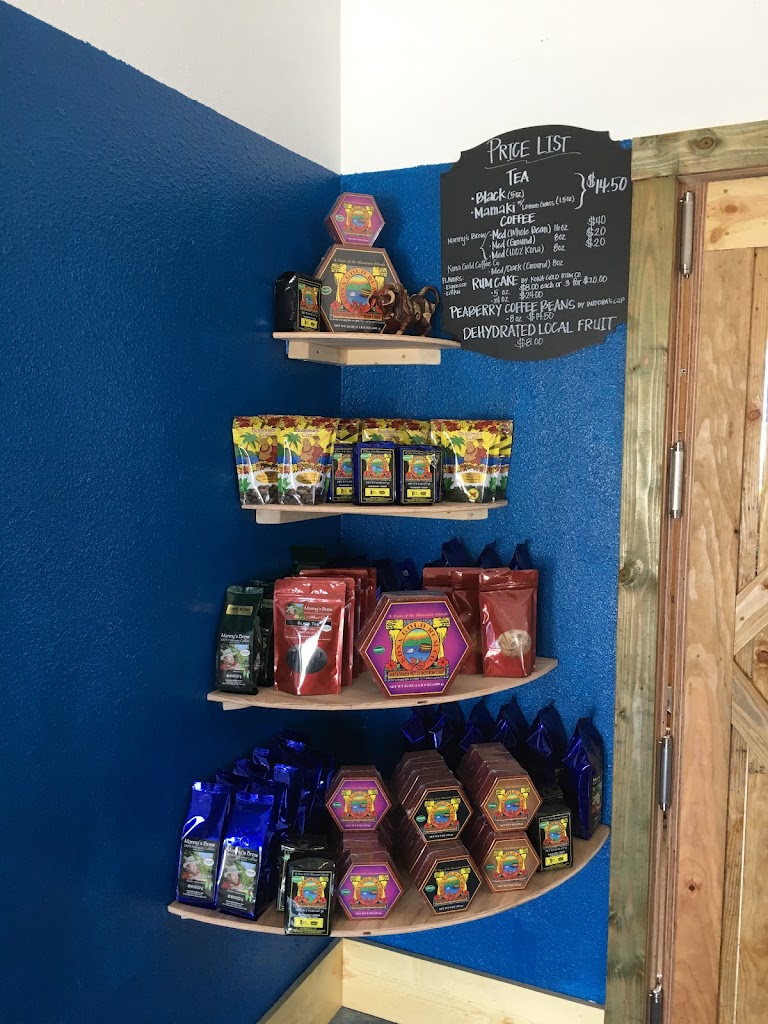 Keoni's Point Of View 96740