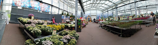 Plantorama Odense in Odense Municipality, Odense