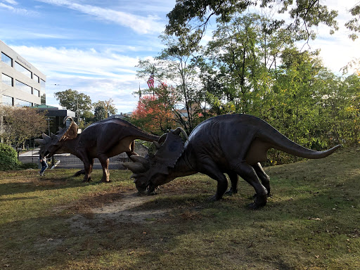 Art Museum «Bruce Museum», reviews and photos, 1 Museum Dr, Greenwich, CT 06830, USA