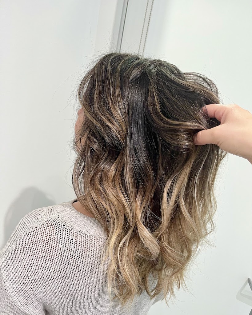 Plazola hair designer 94086