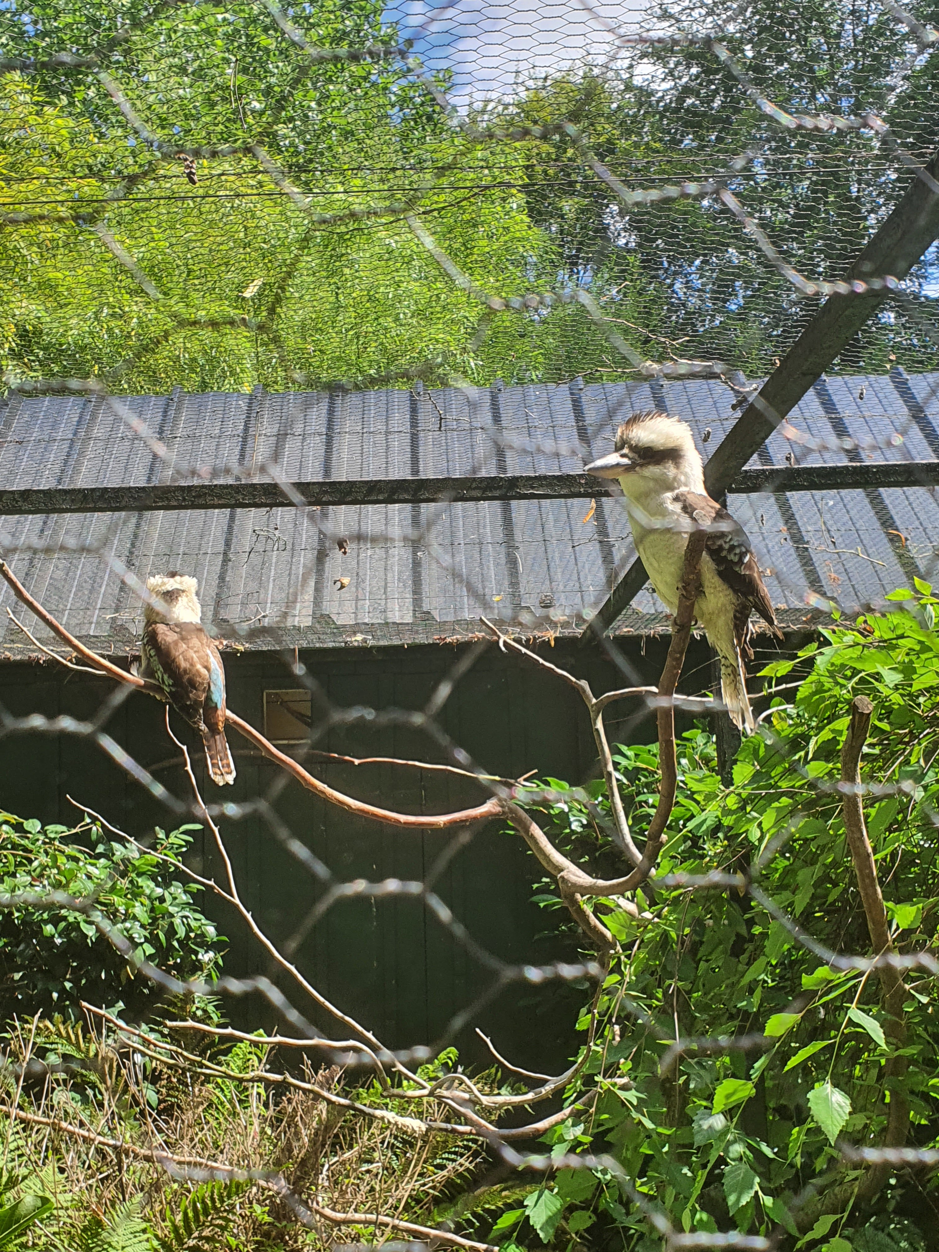 Photo n° 12 de l'avis de Mylene.o fait le 17/07/2023 à 15:57