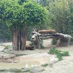 Photo n°10 de l'avis de Dani. fait le 01/05/2022 à 18:33 sur le  Parco Zoo Falconara Srl à Falconara Marittima