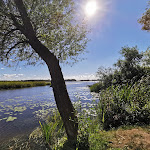 Photo n°4 de l'avis de Grit.a fait le 18/09/2022 à 06:26 sur le  SEEHOTEL Brandenburg a.d. Havel à Beetzsee