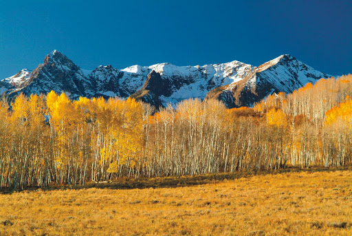 NSR, 1745 Shea Center Dr #400, Littleton, CO 80129, USA, 