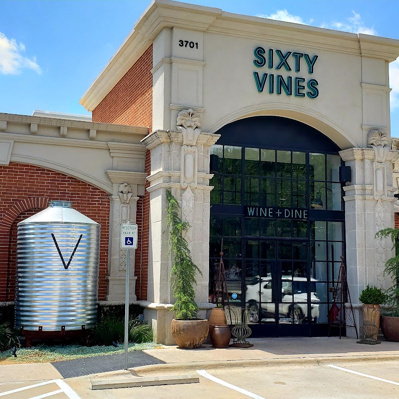 Sixty Vines