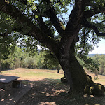 Photo n°5 de l'avis de Monica.e fait le 07/08/2021 à 10:06 sur le  Agriturismo La Quercia à Pietrasecca