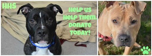 Animal Shelter «Heritage Humane Society», reviews and photos