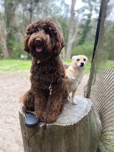 Disc Golf Course «Golden Gate Park Disc Golf Course», reviews and photos, 99 Marx Meadow Dr, San Francisco, CA 94121, USA