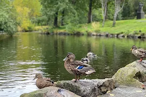 Husavik Park image