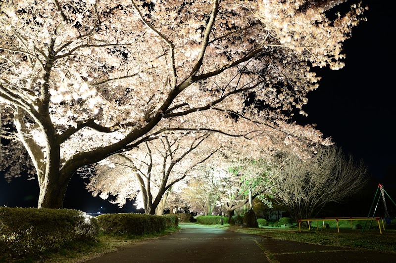 みのわ天竜公園