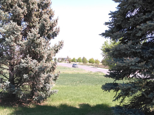 Park «Green Valley Ranch East Park», reviews and photos, 4455 Jebel St, Denver, CO 80249, USA