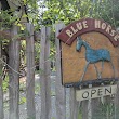 Blue Horse Folk Art Gallery