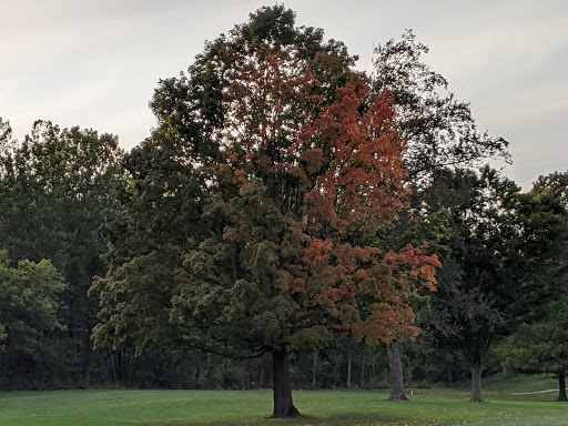 Golf Course «Cherry Ridge Golf», reviews and photos, 1211 W River Rd N, Elyria, OH 44035, USA