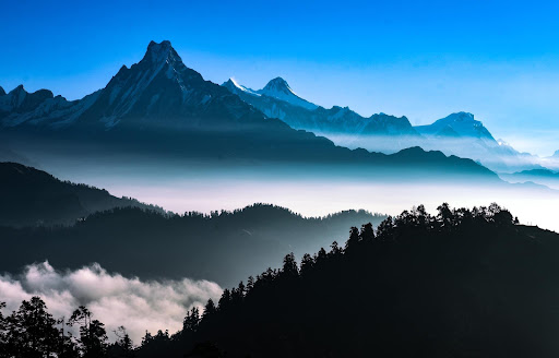 Worldwide Tourism Inc image