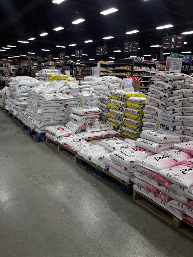 Supermarket «Jusgo Supermarket», reviews and photos, 3875 Venture Dr, Duluth, GA 30096, USA