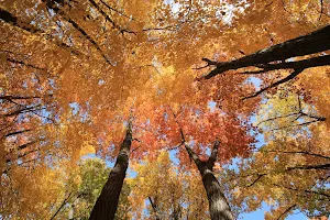 Lake Maria State Park image