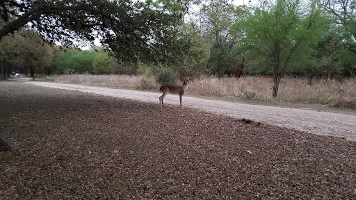 Park «Oakwell TrailHead Park», reviews and photos, 150 Ira Lee Rd, San Antonio, TX 78218, USA