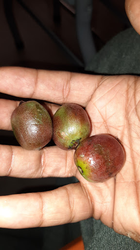 Produce Market «Farmer Jones Indoor Market», reviews and photos, 16701 Broadway Ave, Cleveland, OH 44137, USA