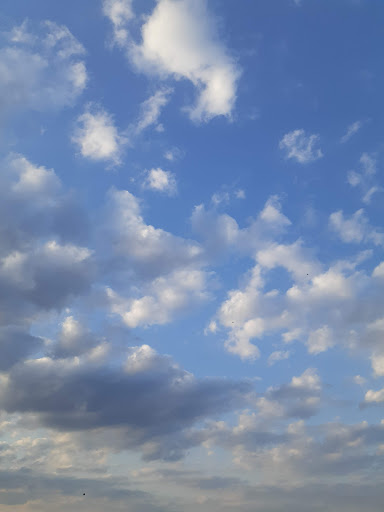 Park «Sahm Park», reviews and photos, 6801 E 91st St, Indianapolis, IN 46250, USA