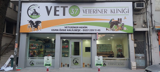 Vet37 Veteriner Kliniği