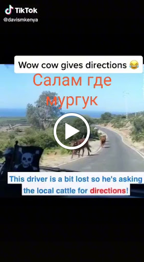 Used Car Dealer «Pepmore Auto Sales Inc», reviews and photos, 70-11 Queens Blvd, Woodside, NY 11377, USA