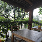 Photo n°47 de l'avis de anna.a fait le 02/08/2021 à 19:50 sur le  Number 10 à Belvedere Langhe