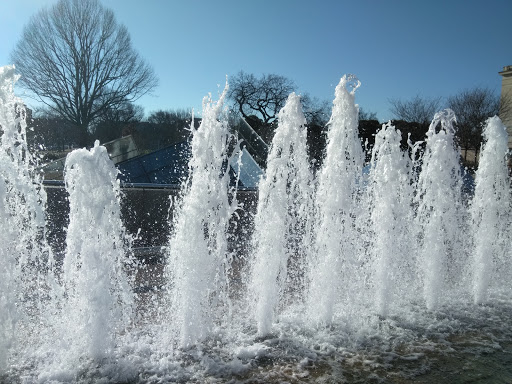 Gift Shop «The Gallery Shops», reviews and photos, 401 Constitution Ave NW, Washington, DC 20565, USA