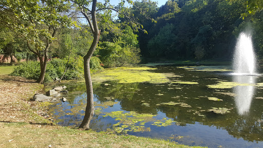 Park «Allison Pond Park», reviews and photos, 406 Prospect Ave, Staten Island, NY 10301, USA