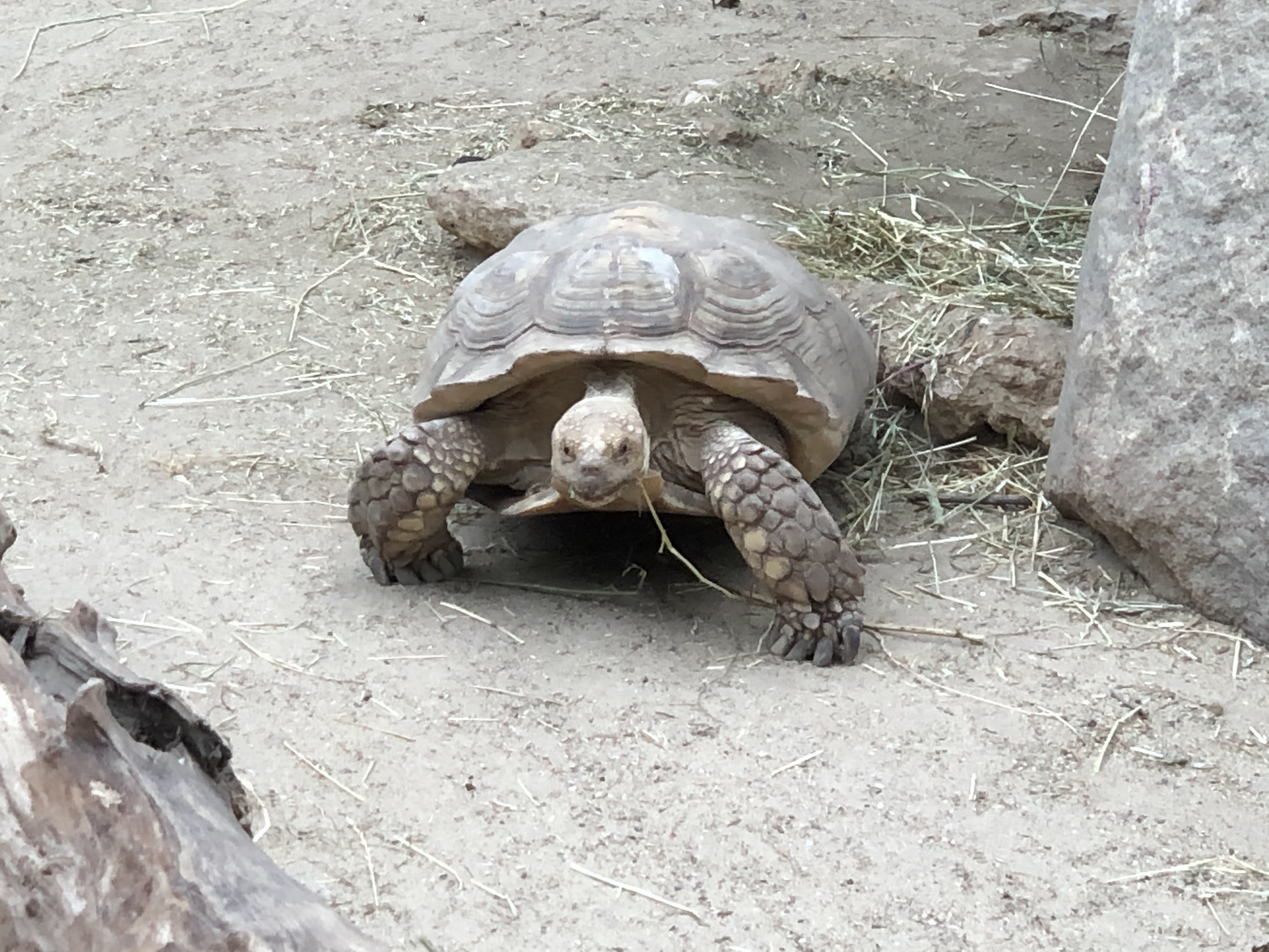 Photo n° 4 de l'avis de Nicolas.o fait le 28/08/2019 à 18:48