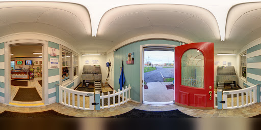 Pet Groomer «Blue Ribbon Dog Grooming LLC Anderson», reviews and photos, 5038 S Scatterfield Rd, Anderson, IN 46013, USA