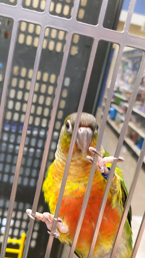 Pet Supply Store «PetSmart», reviews and photos, 14290 Plymouth Ave, Burnsville, MN 55337, USA