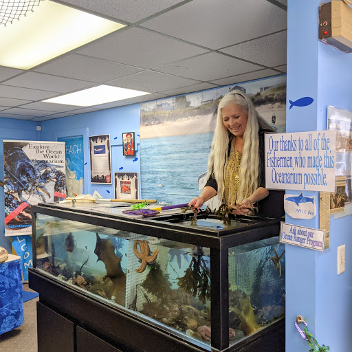 Aquarium «Explore the Ocean World, llc Oceanarium», reviews and photos, 367 Ocean Blvd, Hampton, NH 03842, USA