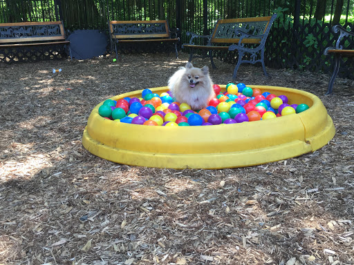 Pet Supply Store «The Hungry Puppy», reviews and photos, 1288 NJ-33, Farmingdale, NJ 07727, USA