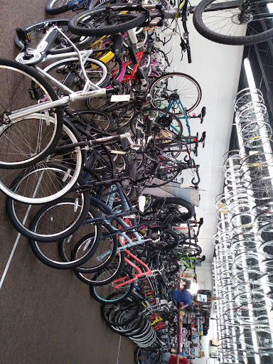 Bicycle Store «Western Bike», reviews and photos, 2286 Tamiami Trail E, Naples, FL 34112, USA
