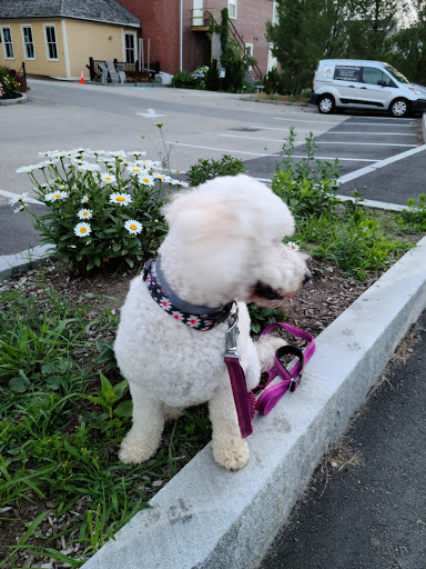 Shopping Mall «Tannery Shopping Center», reviews and photos, 50 Water St, Newburyport, MA 01950, USA