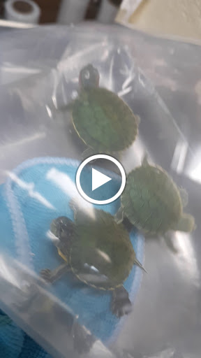 Pet Store «Pet Source 1901», reviews and photos, 1901 W 8th St B, Los Angeles, CA 90057, USA