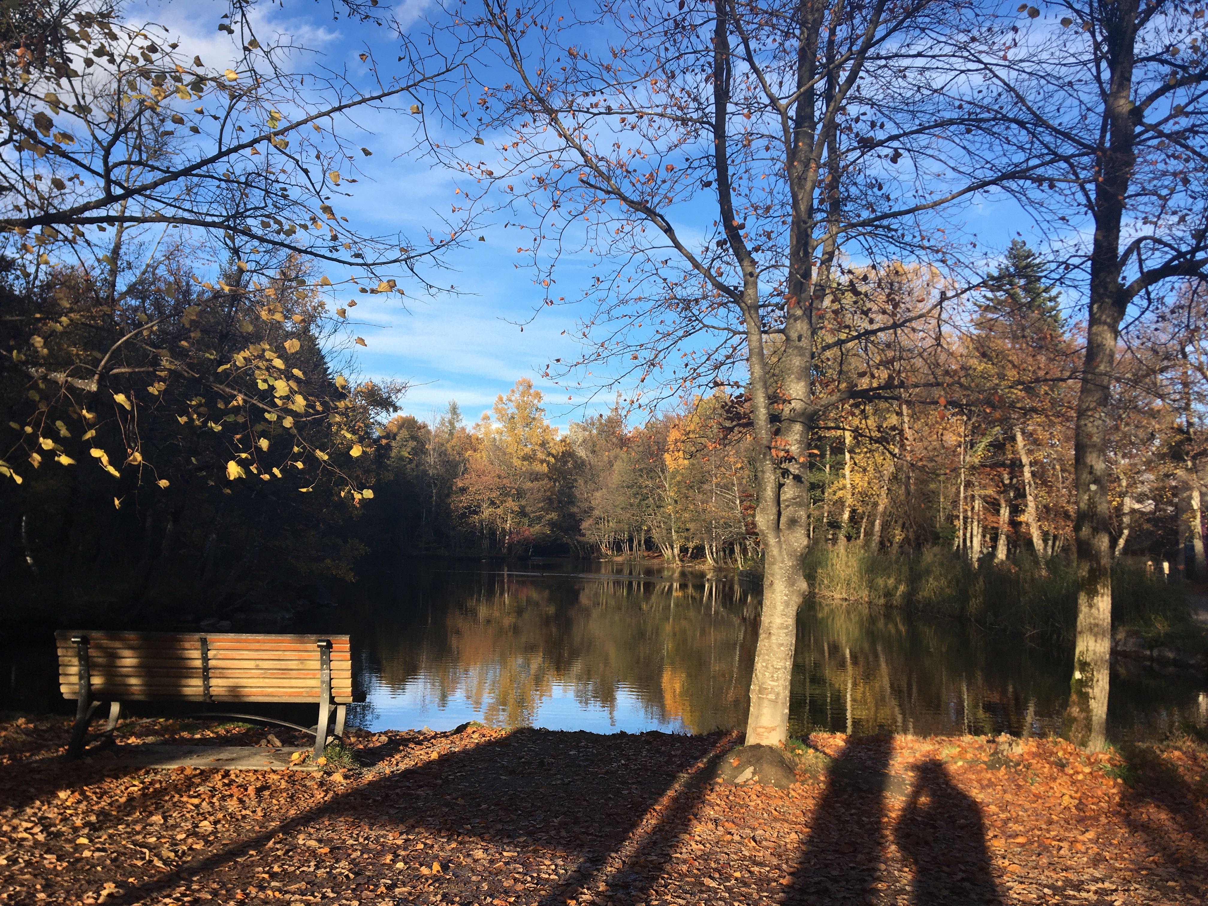 Photo n° 11 de l'avis de Jean-Paul.h fait le 03/11/2021 à 13:46