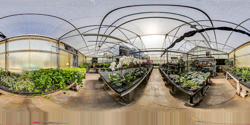 Florist «Dr Delphinium Flower & Orchid House», reviews and photos, 513 W Campbell Rd, Richardson, TX 75080, USA