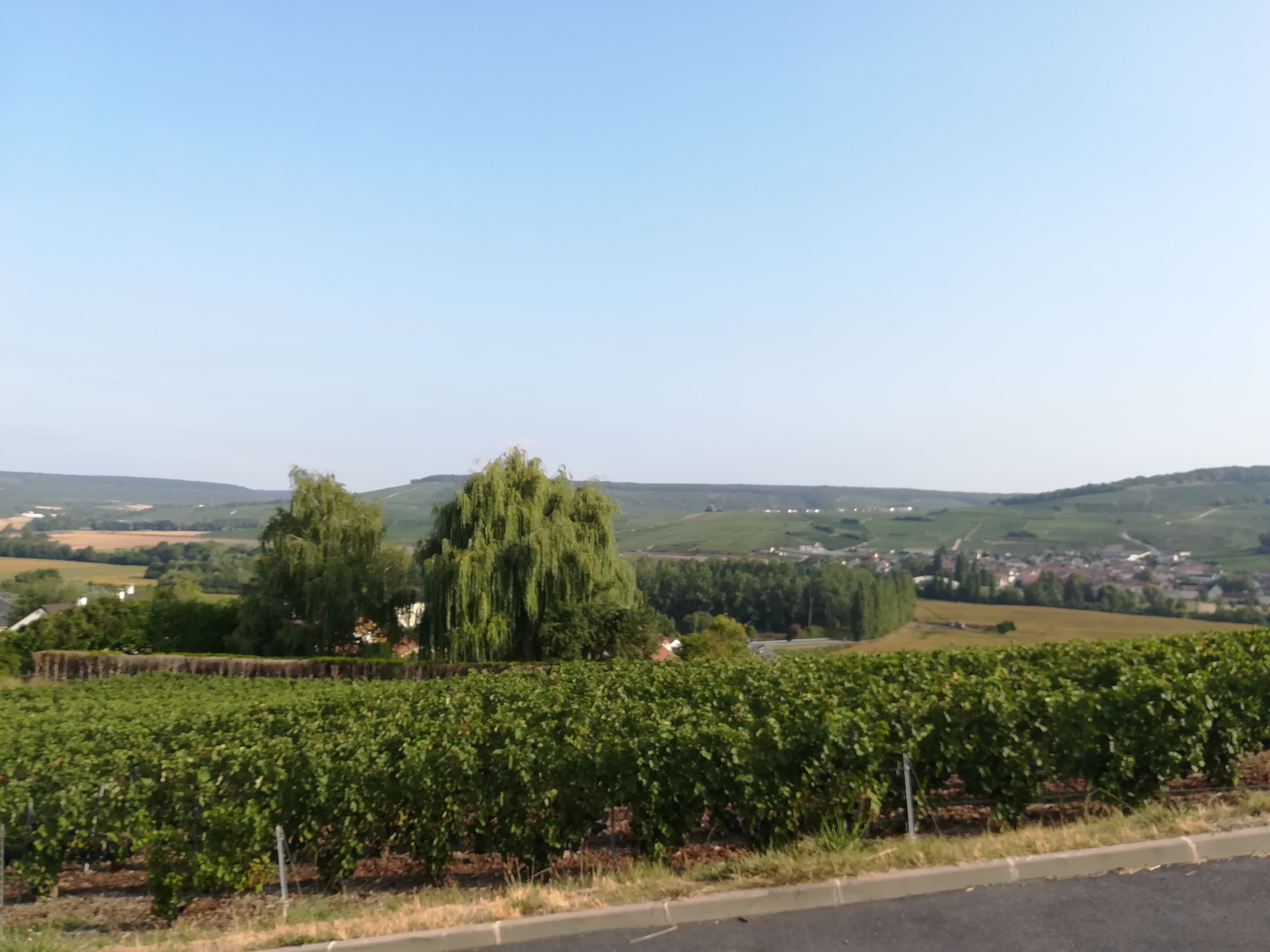 Photo n° 1 de l'avis de Vétérinaire.i fait le 02/09/2018 à 12:22