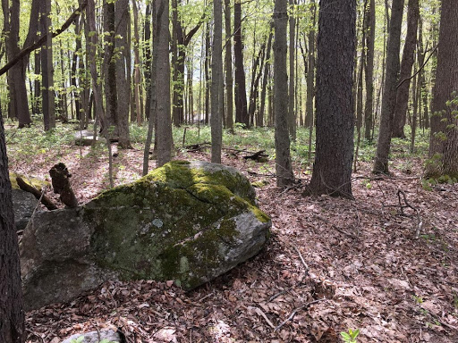 Real Estate Agency «Elyse Harney Real Estate - Salisbury», reviews and photos, 11 E Main St, Salisbury, CT 06068, USA