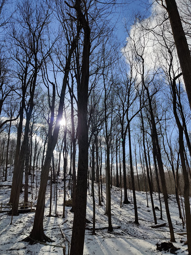 Park «Cleveland Metroparks», reviews and photos, 1969 W Ridgewood Dr, Cleveland, OH 44134, USA