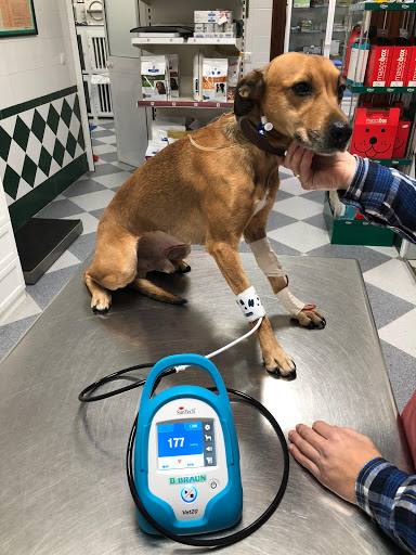 Clínica Veterinaria Zamfer en Lebrija