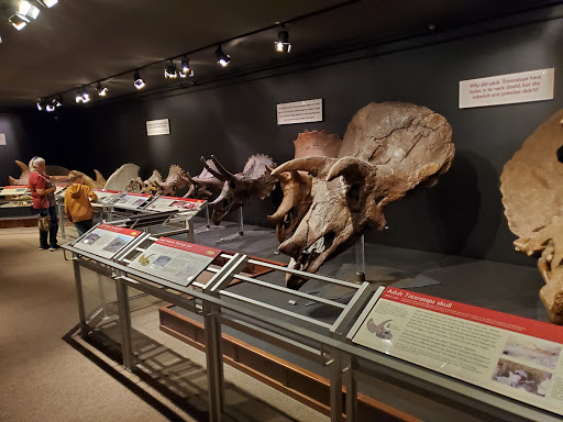 Science Museum «Museum of the Rockies», reviews and photos, 600 W Kagy Blvd, Bozeman, MT 59717, USA